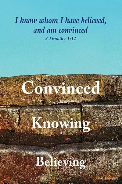 Обложка книги BELIEVING KNOWING CONVINCED, Dave Thomas