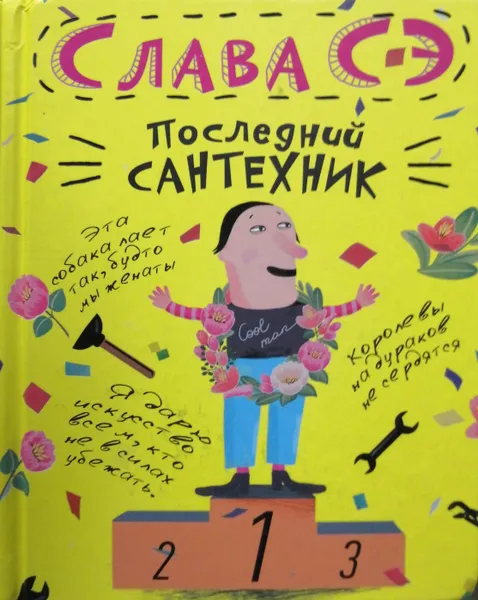 Обложка книги Последний сантехник, Слава Сэ