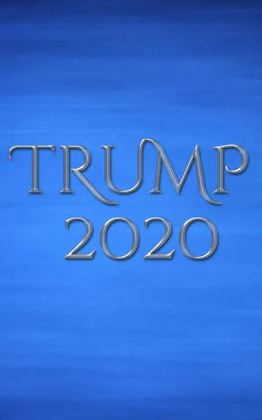 Обложка книги Trump 2020 writing journal, Sir Michael Huhn