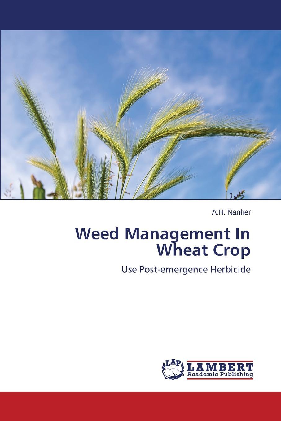фото Weed Management In Wheat Crop