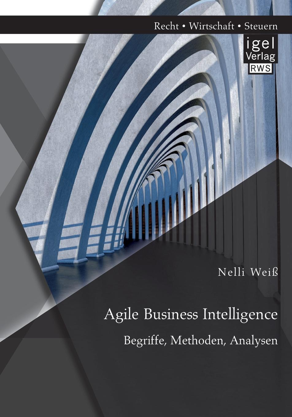 фото Agile Business Intelligence. Begriffe, Methoden, Analysen