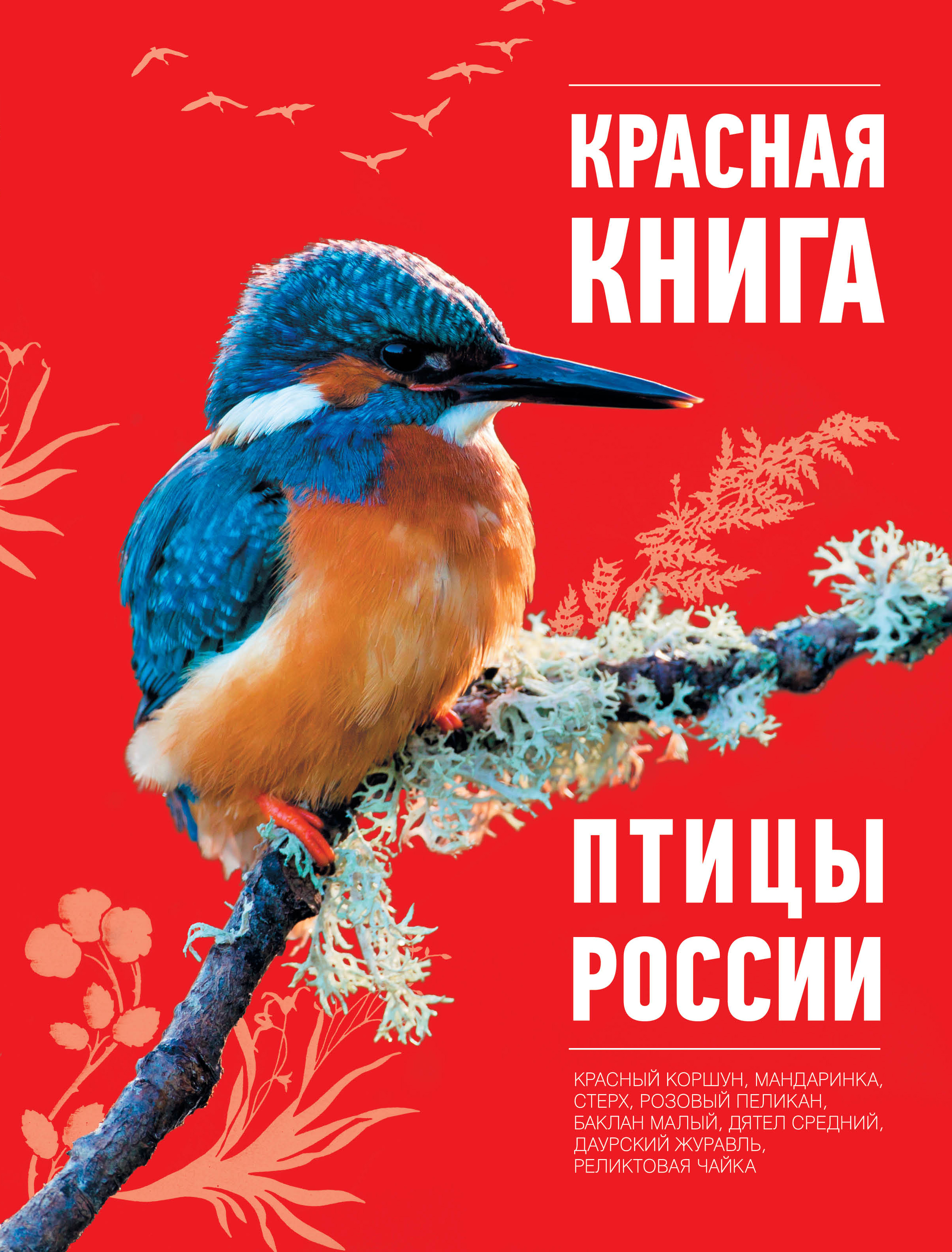 Птицы из красной книги. Птицы красной книги. Птицы которые в красную книгу. Птицы занесенные в красную книгу. Что занесено в красную книгу.