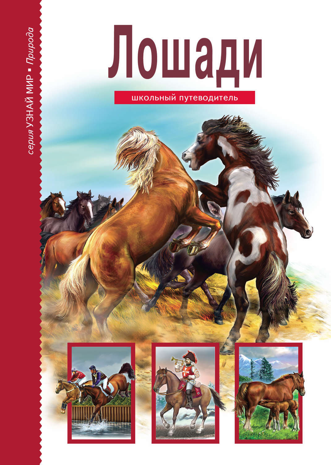 Книги верховая. Книги про лошадей. Лошади. Школьный путеводитель.. Детские книги про лошадей.