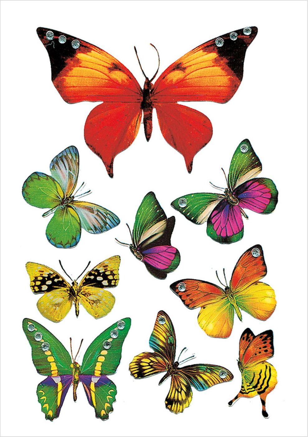 Кратко разноцветная бабочка. Разноцветные бабочки. Бабочки цветные. Цветные бабочки для детей.