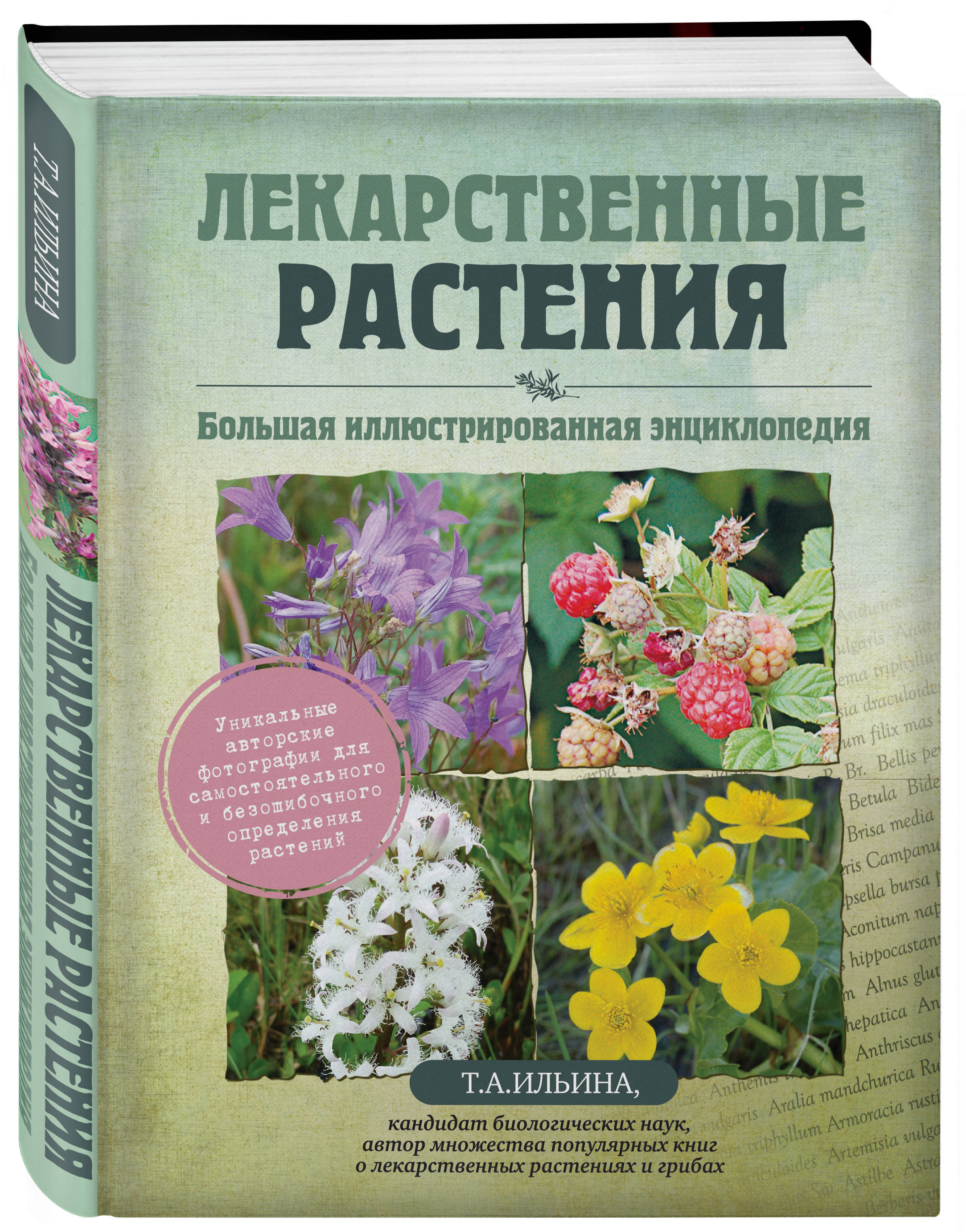 Энциклопедия растений с картинками