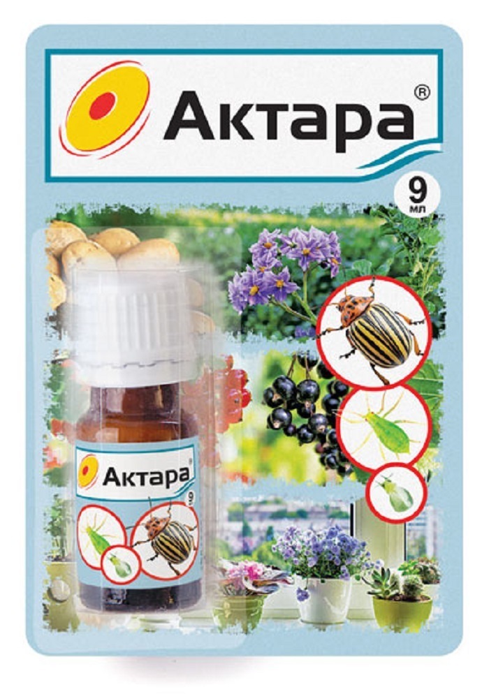 Фото препарата актара