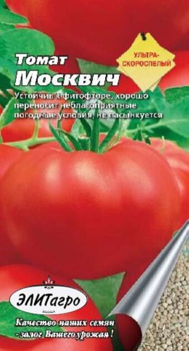 Семена томатов москвичка