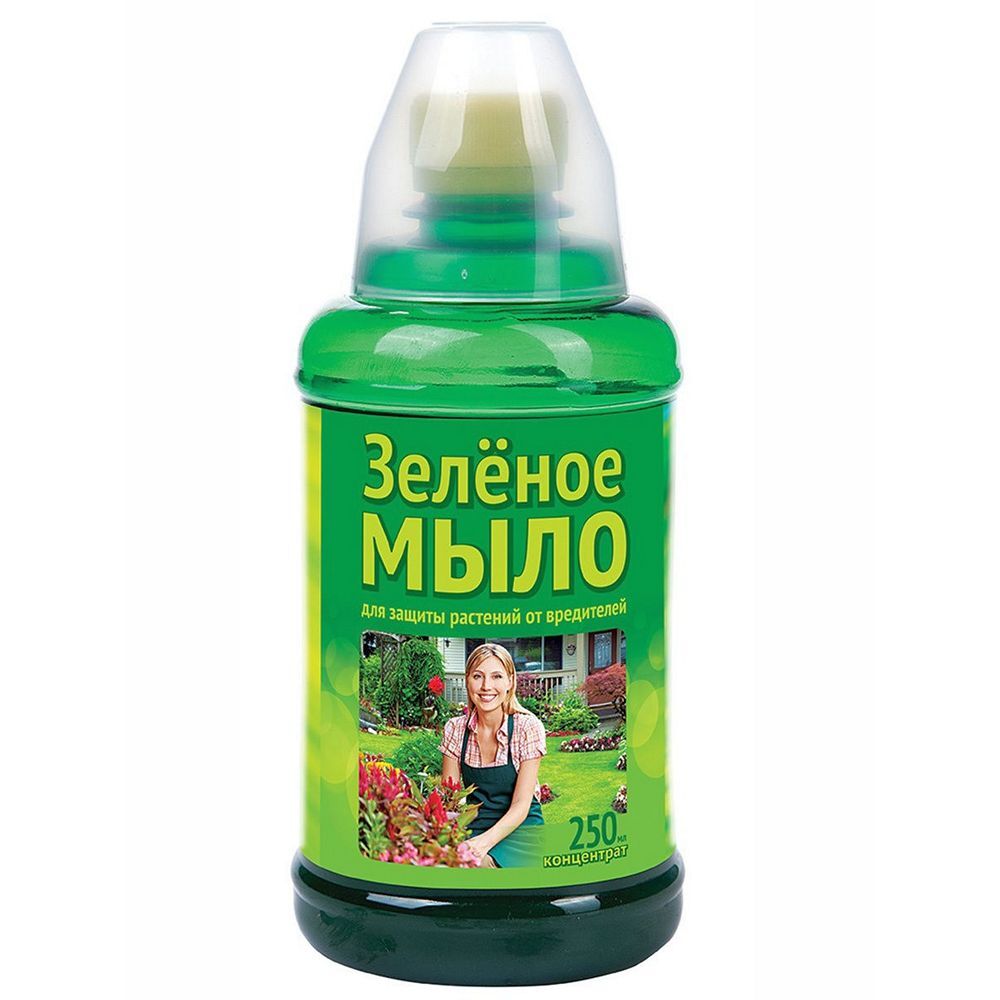 Зеленое мыло для растений. Как правильно помыть теплицу из поликарбоната весной. Помыть теплицу зеленым мылом. Фаско зеленое мыло 250мл фаско. Зеленое мыло.