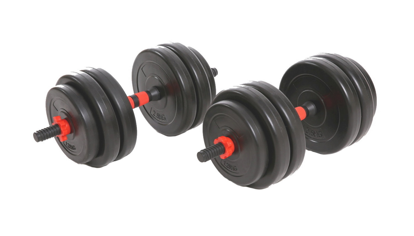 гантели разборные 2 шт. гантель сборно-разборная 20 кг. штанга starfit bb-401 100кг. гантели разборные 2 шт. гантели разборные 2 шт.