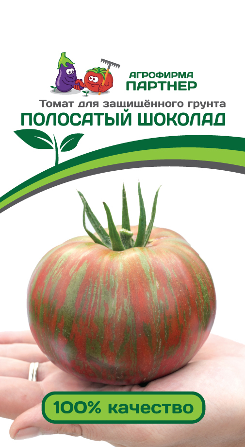 Сорт томата полосатый шоколад фото
