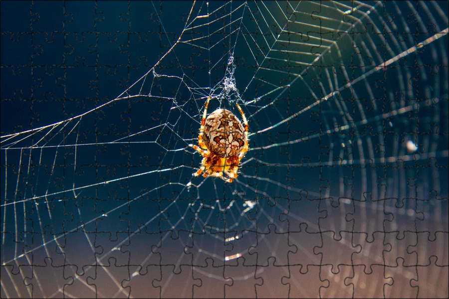Spiders thread
