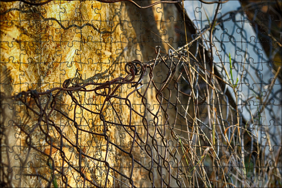 дерево на проводах. сетка на открытый балкон. открой сетку. плоть макросъемка. открой сетку.