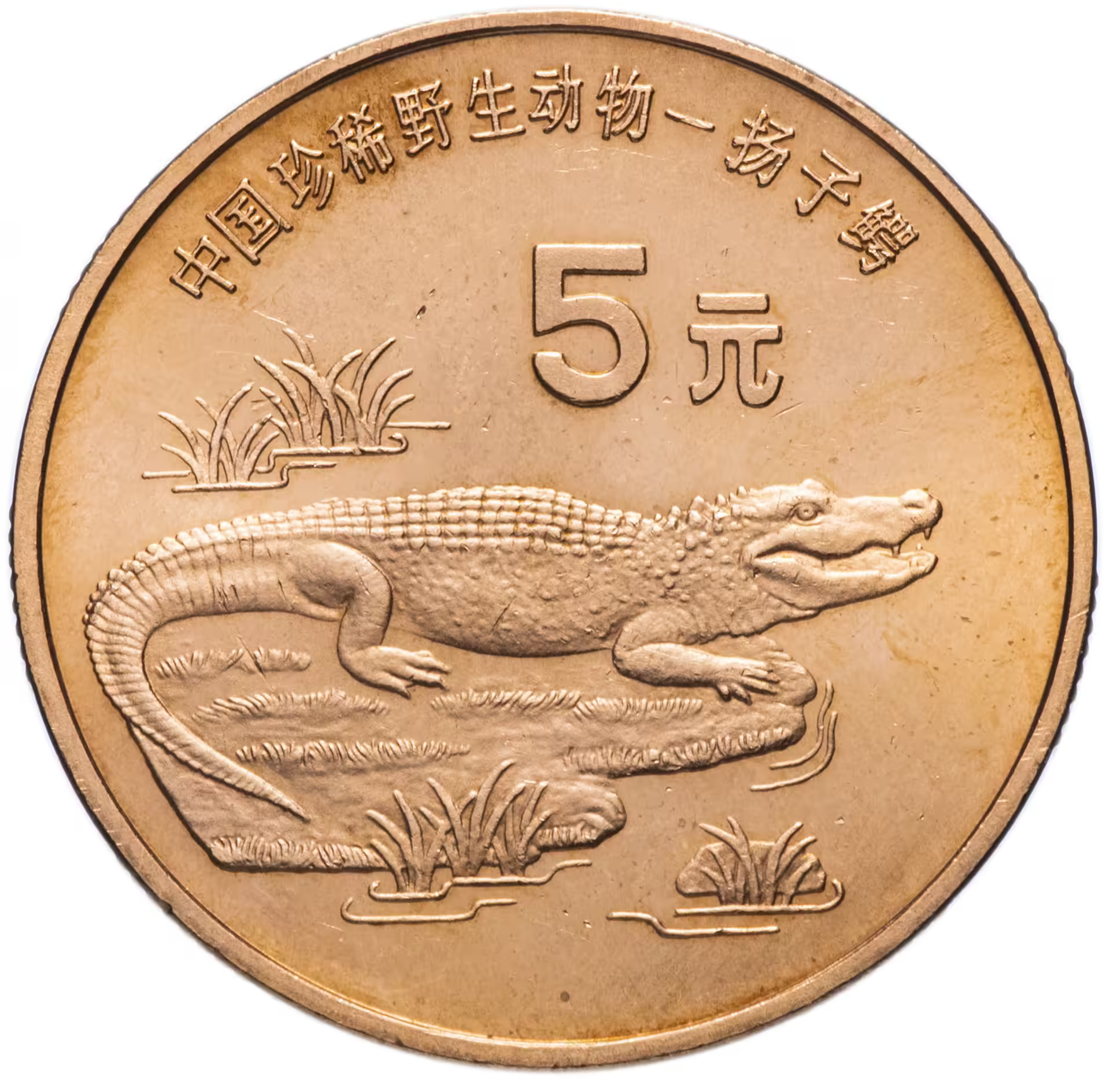 Китайские 5 рублей. 5 Юаней монета. 5 Юаней Китай. Монеты Китая 5 юаней 1996 тигр. Монеты Китая 1998.