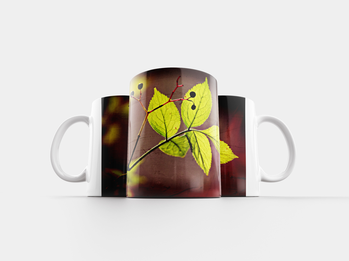 Кружки на листе. Кружка с листом. Кружка с листочками. Кружки с оливками. Кружки на листе.