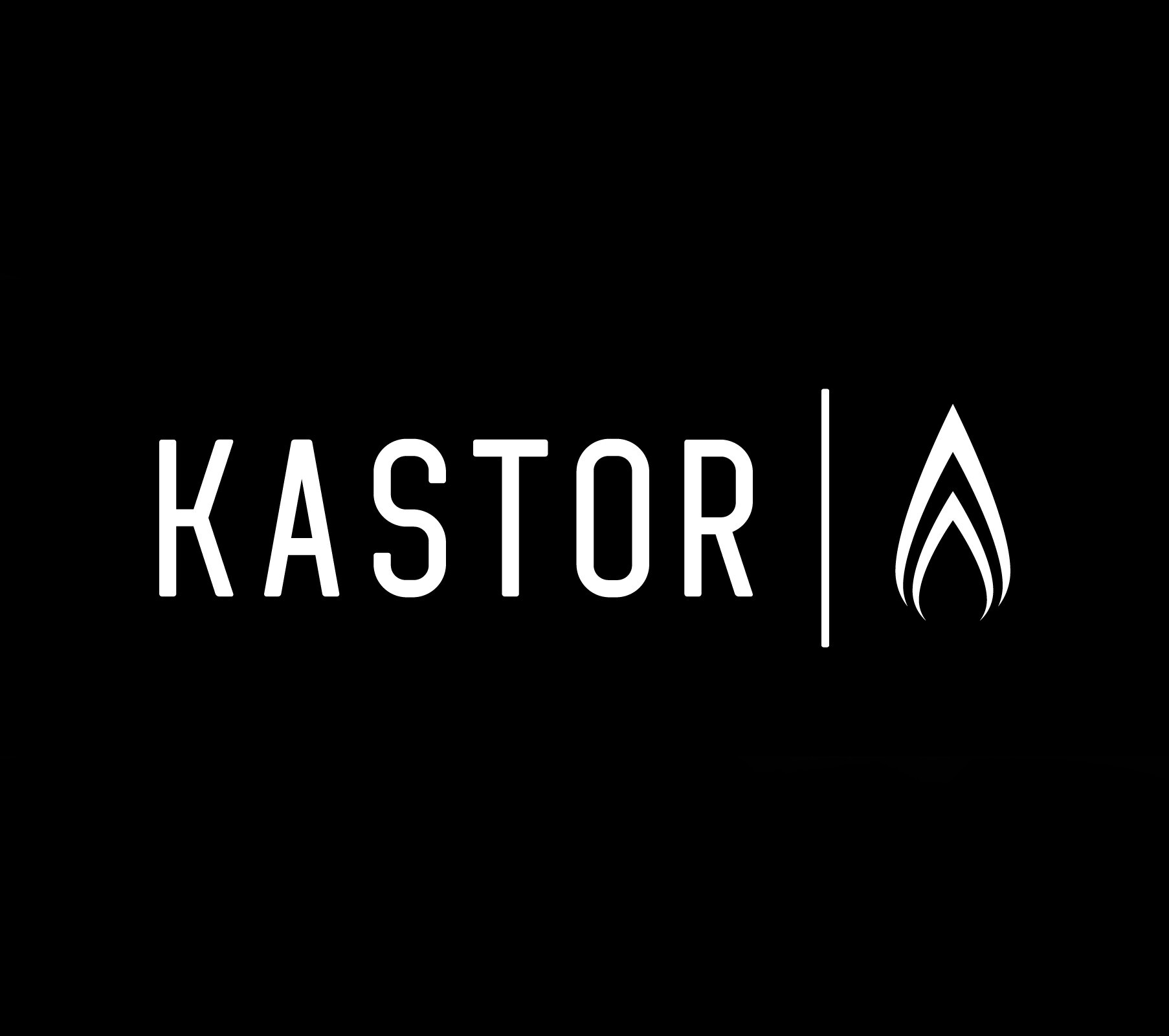 Kastor — купить товары Kastor в интернет-магазине OZON