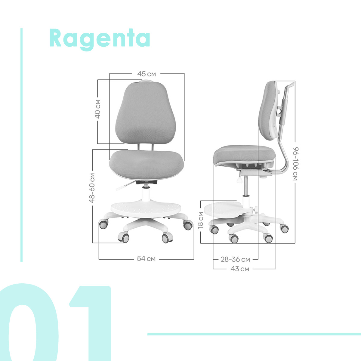 Anatomica ragenta