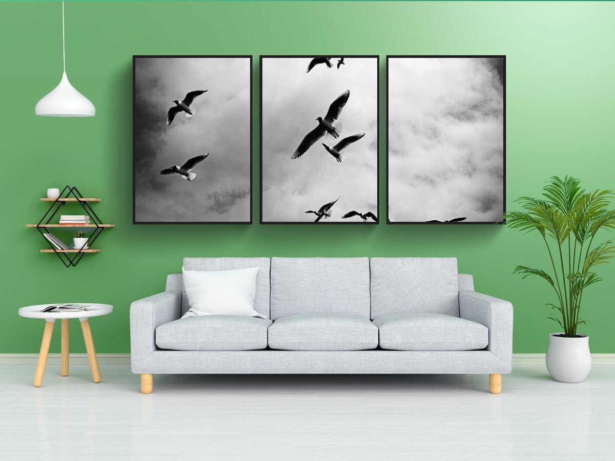 Постеры на стену птицы. Постеры птицы на стену для интерьера. Рамка Постер с птицей. Постер черно белое птиц.