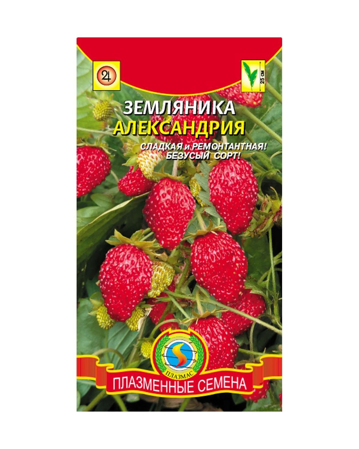 земляника альпийская александрия. семена земляника "александрина", 0,05 г. земляника александрия семена. земляника александрия описание. земляника лесная александрия.