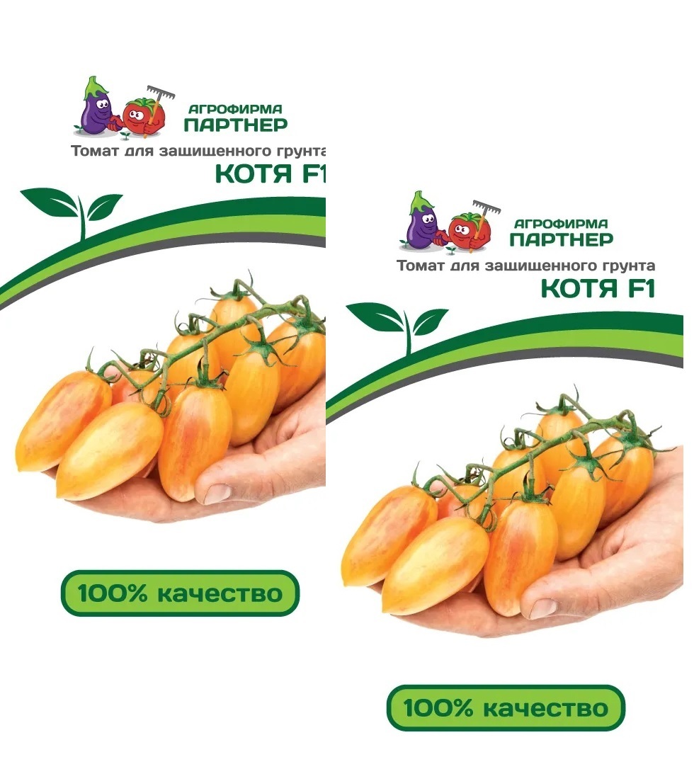 Помидоры котя описание сорта. Томат котя фирмы партнер. Томат котя. Котя томат описание. Томат котя фирмы партнер отзывы.