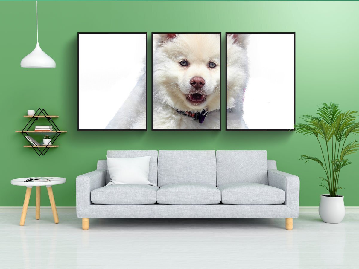 Постер собаки. Постеры с собаками. Плакаты с собаками. Отель для собак Постер.