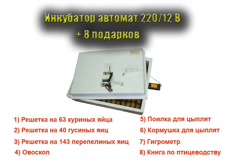 Инкубатор 12 Вольт Купить