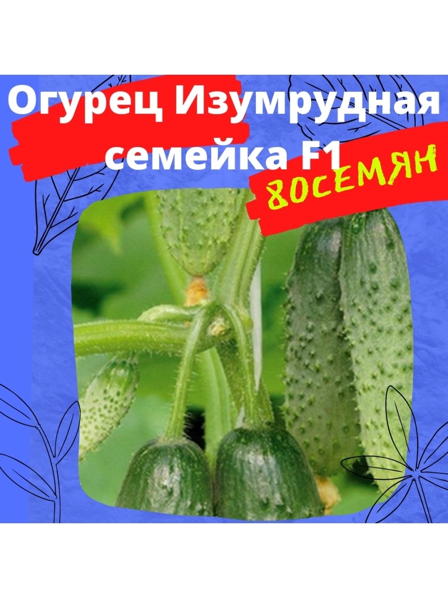 Огурцы Изумрудная Сережка Отзывы Фото