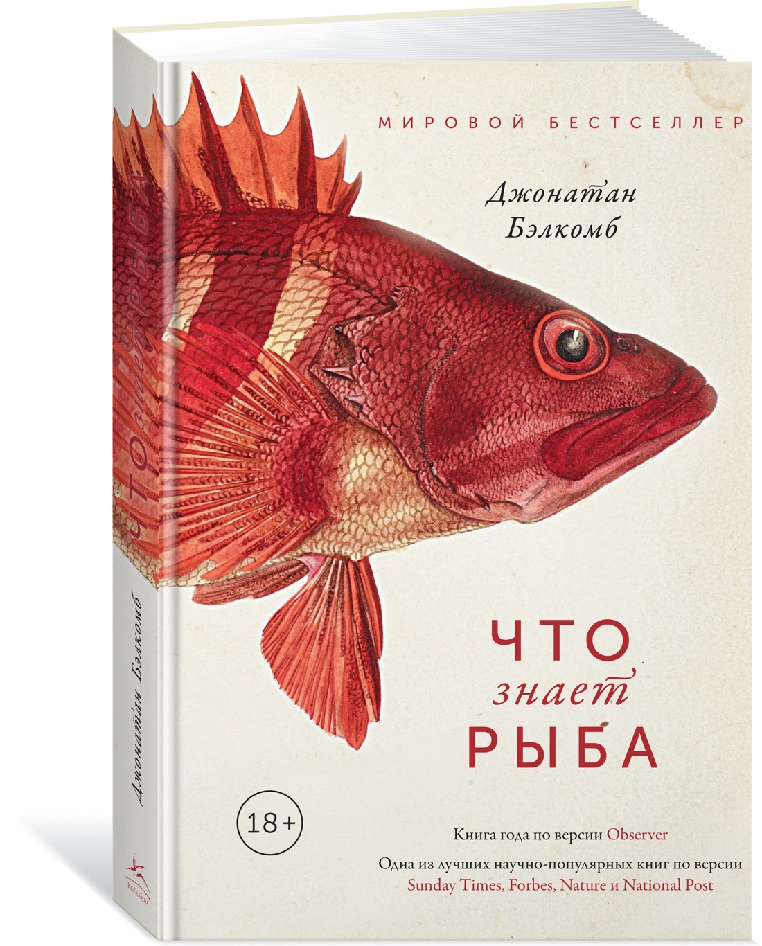 Книги про рыб. Бэлкомб Дж. "Что знает рыба". Джонатан Бэлкомб. Книжка про рыб.