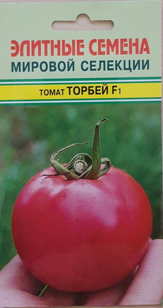 Томат Торбей F1 - купить по выгодным ценам в интернет-магазине OZON(497691888)
