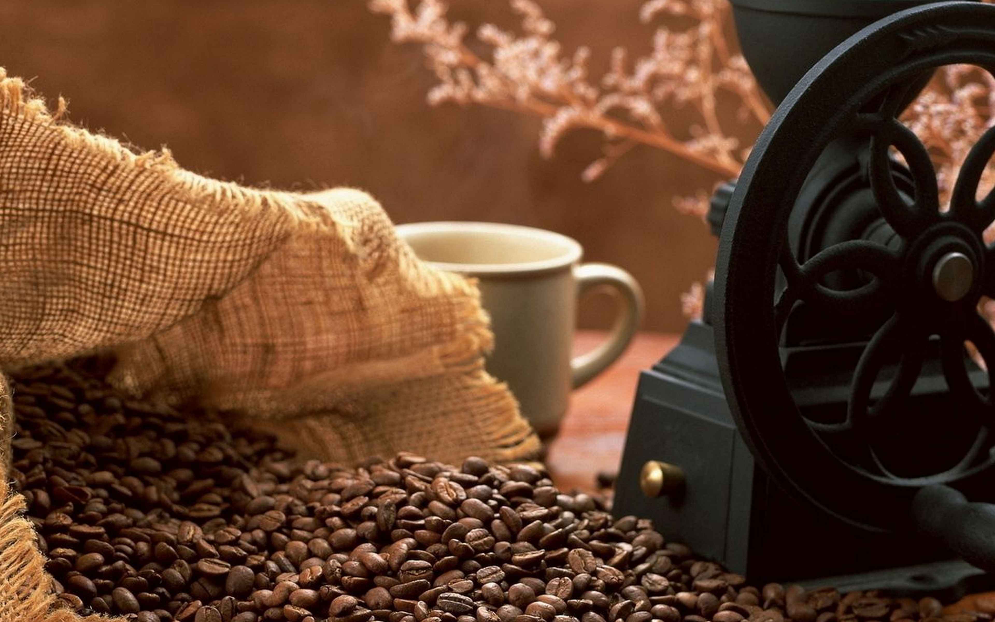 Coffee picture. Энергия кофе. Отходы производства кофе. Кофе и инвестиции. Энергия от кофе.