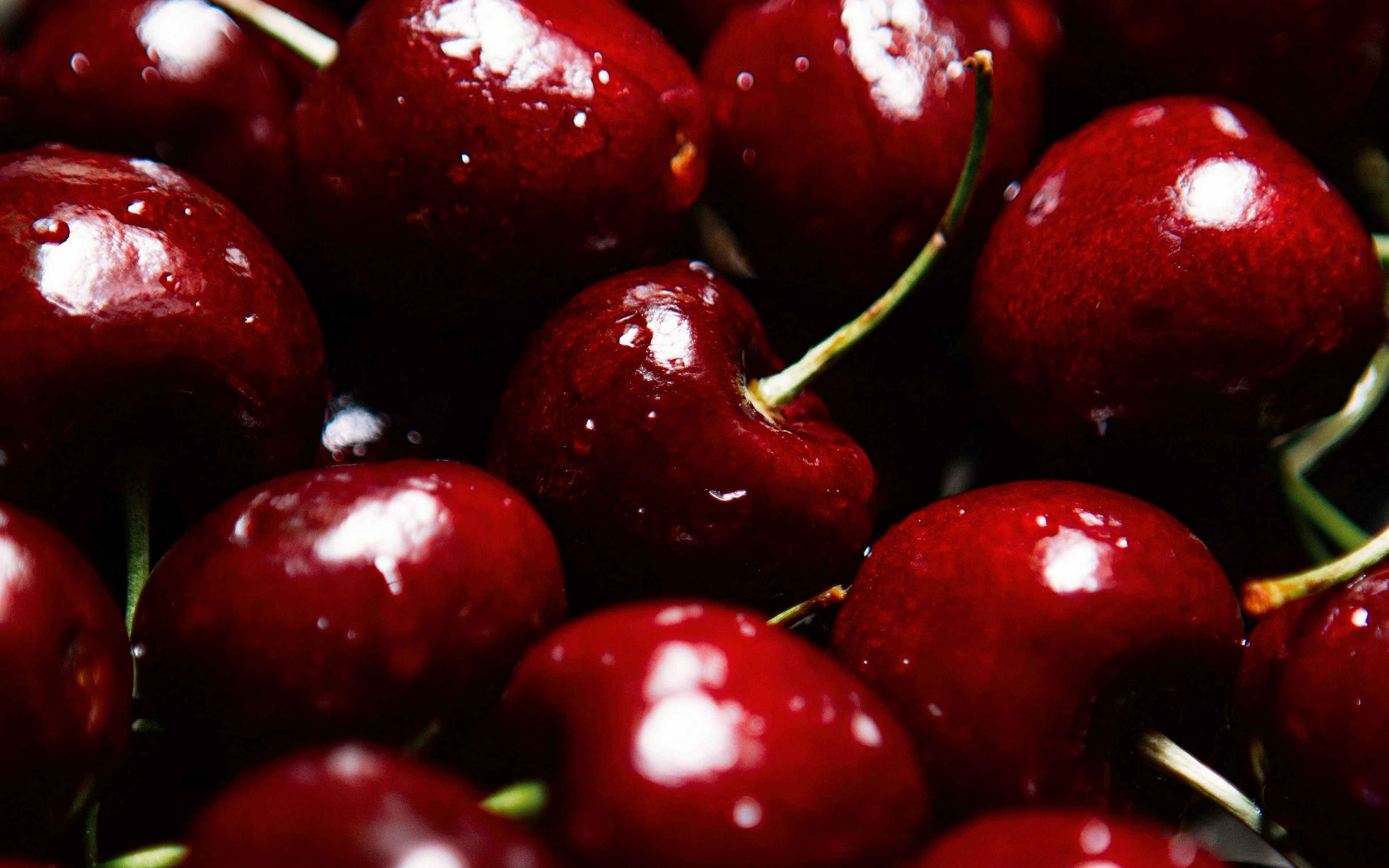 Cherry berry. Вишня фото. Вишня обои. Спелая черешня. Черешня обои.