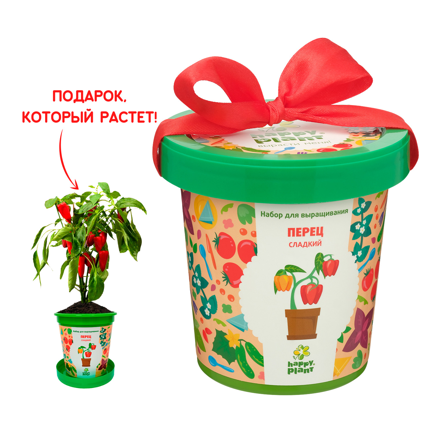 Набор для выращивания Happy Plant, Перцы декоративные, Многолетник купить  по выгодной цене в интернет-магазине OZON (523739035)