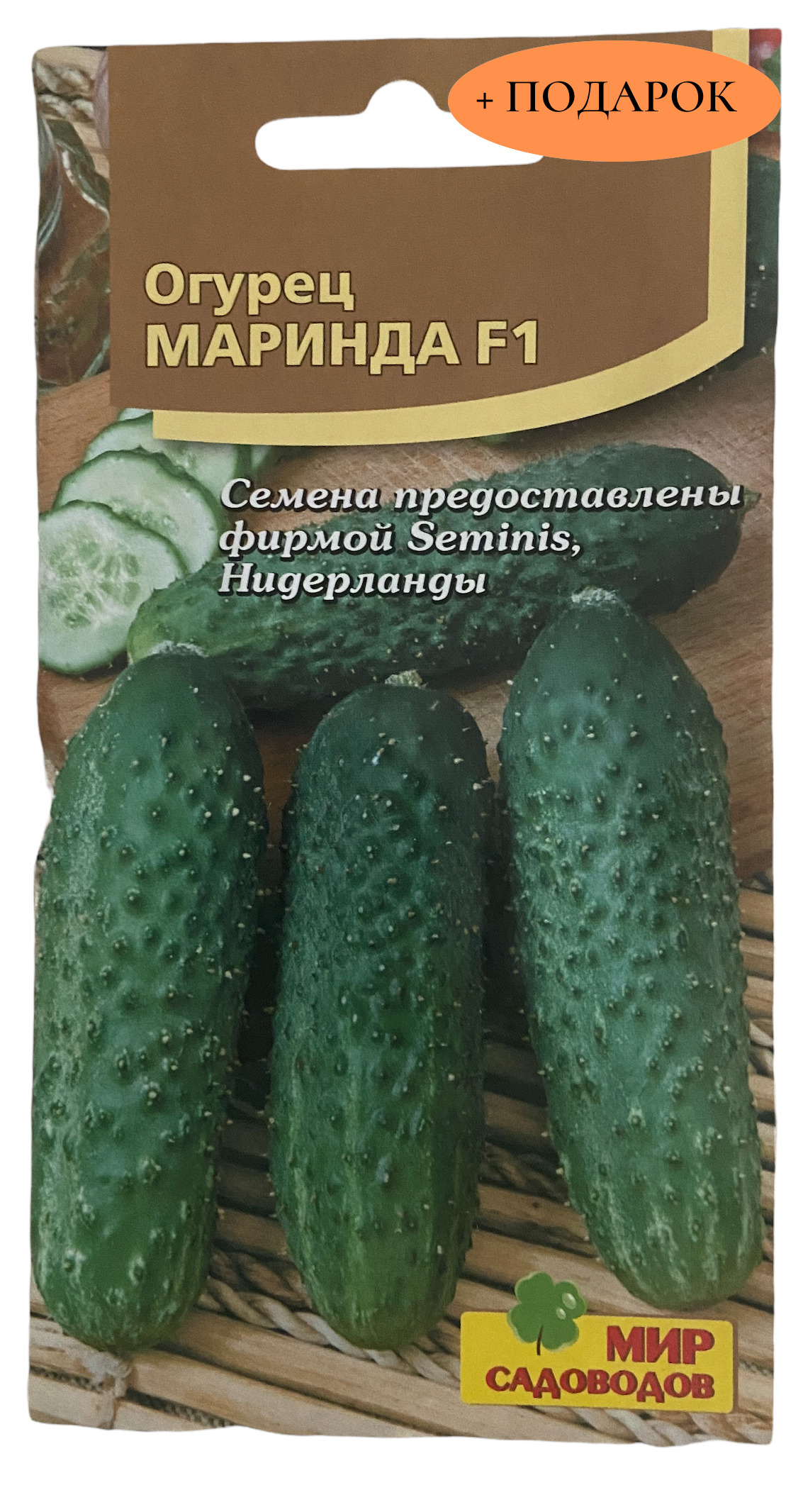 Сорт Огурцов Маринда Фото