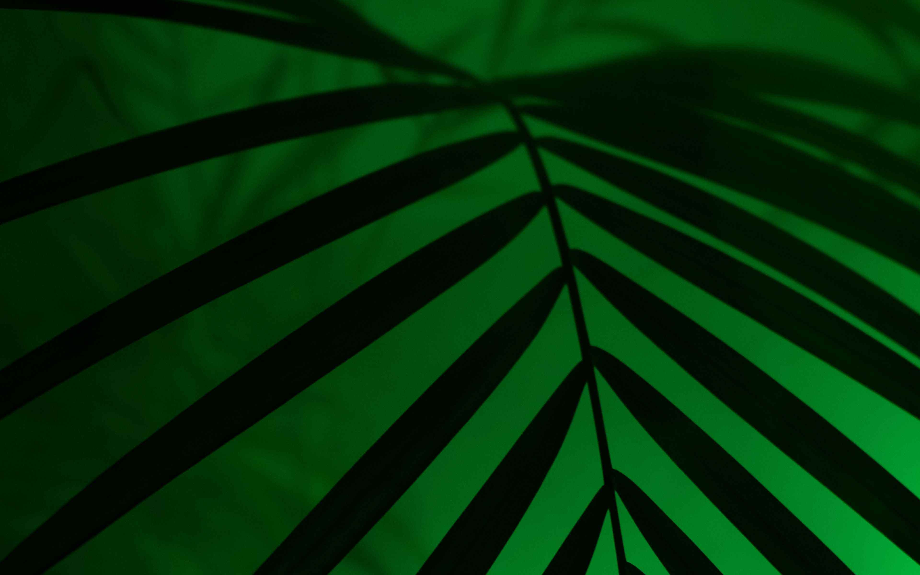 Neon leaves wallpaper. Тропические листья. Фон пальмы. Неоновые пальмовые листья. Пальма на зеленом фоне.