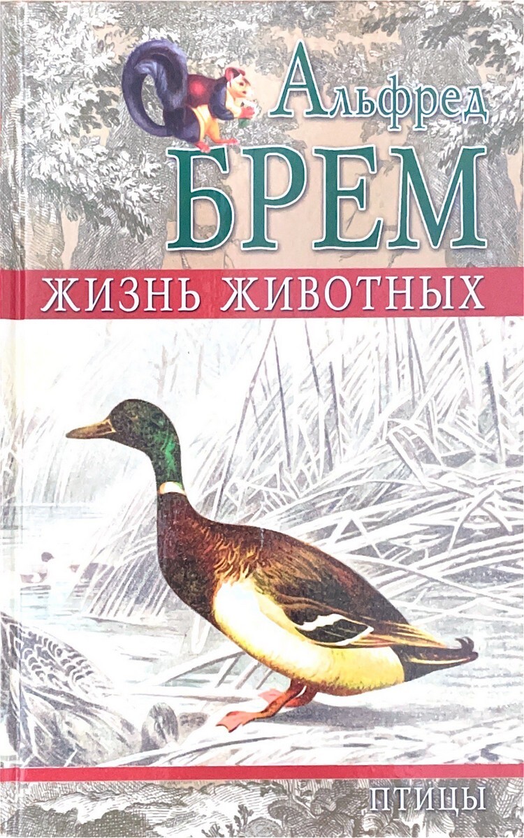 Жизнь животных том 5. Брем книга про птиц.