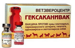 Вакцина от чумки для собак