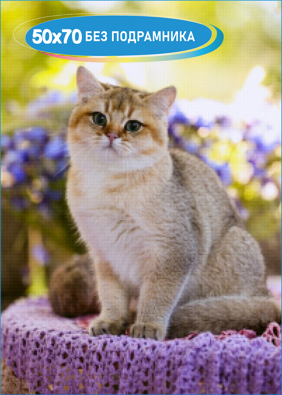 British Shorthair Cat Золотая