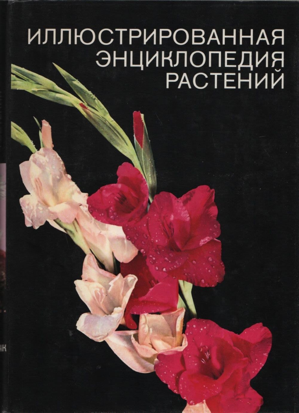 Энциклопедия растений. Иллюстрированная энциклопедия растений | Новак ф. а.. Иллюстрированная энциклопедия растений Новак 1985. Растения. Энциклопедия. Новaк 