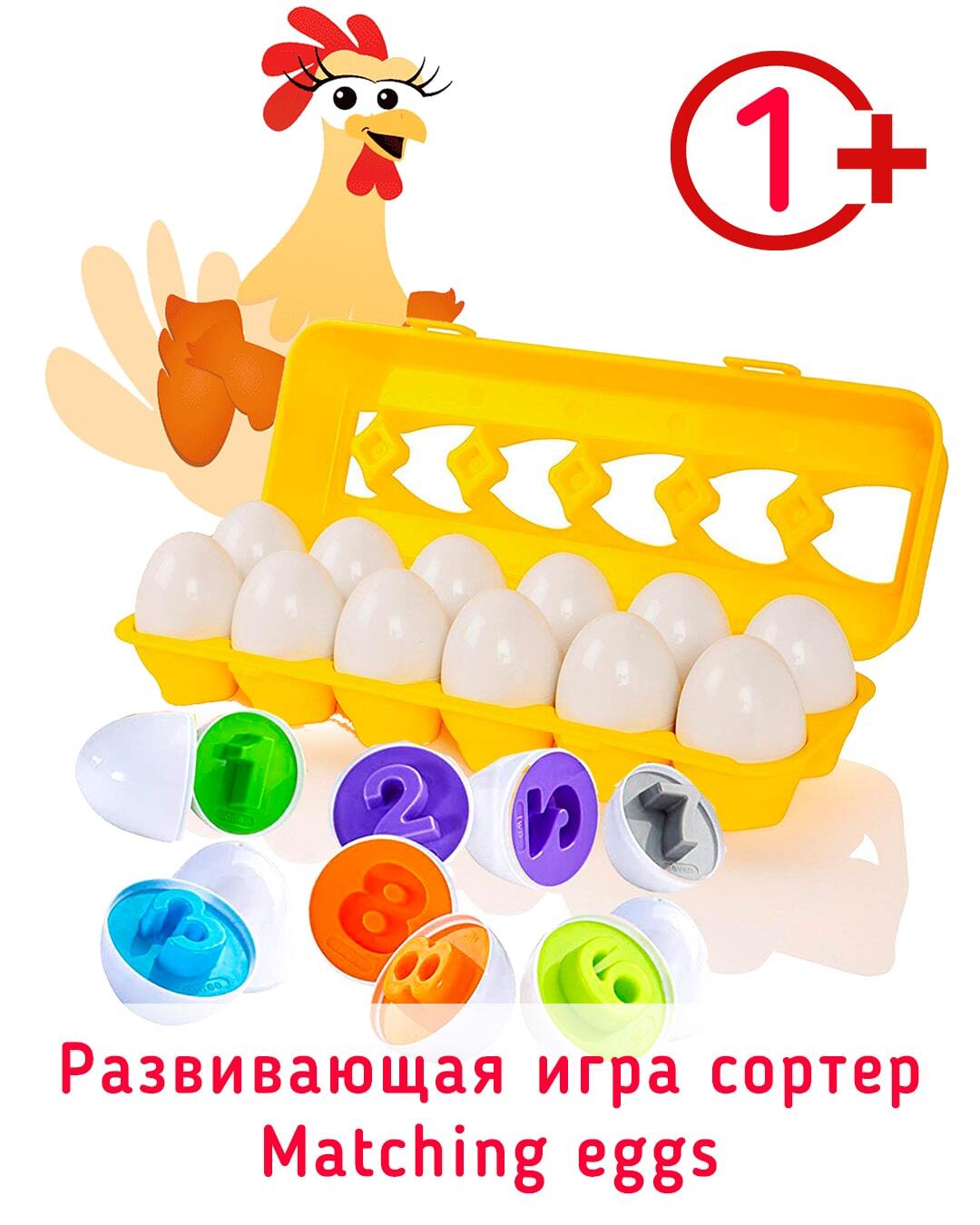 Развивающая игра сортер Matching eggs Яйца в лотке Цифры 5423646 - купить с  доставкой по выгодным ценам в интернет-магазине OZON (642325843)