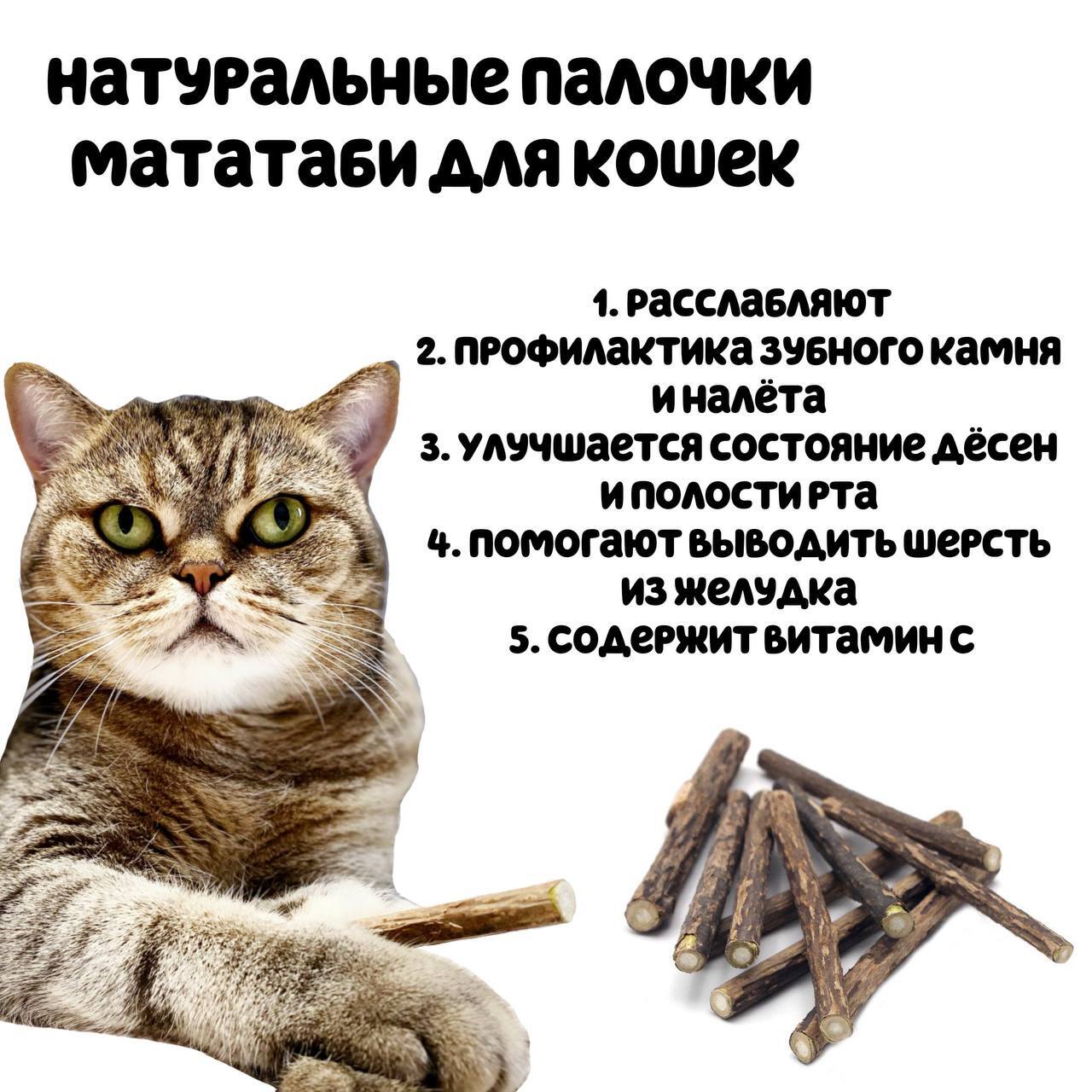 Мататаби для кошек
