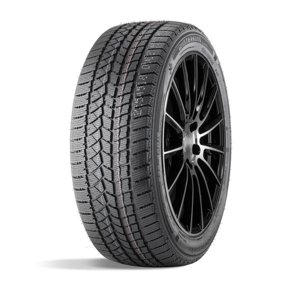 DoublestarDW02Шинызимние185/60R1482TНешипованные