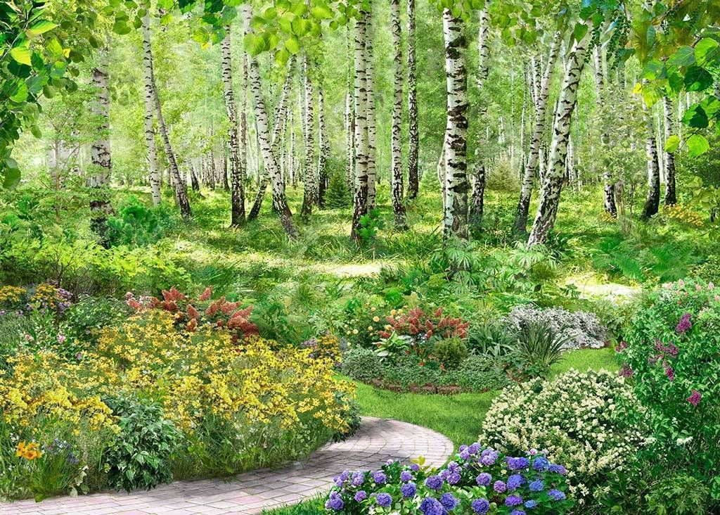 Берёзовая роща солнечногорск. Березовая роща сергиев посад. Березовая роща тутаев. Березовая роща студия. Березовая роща 3д воронеж.