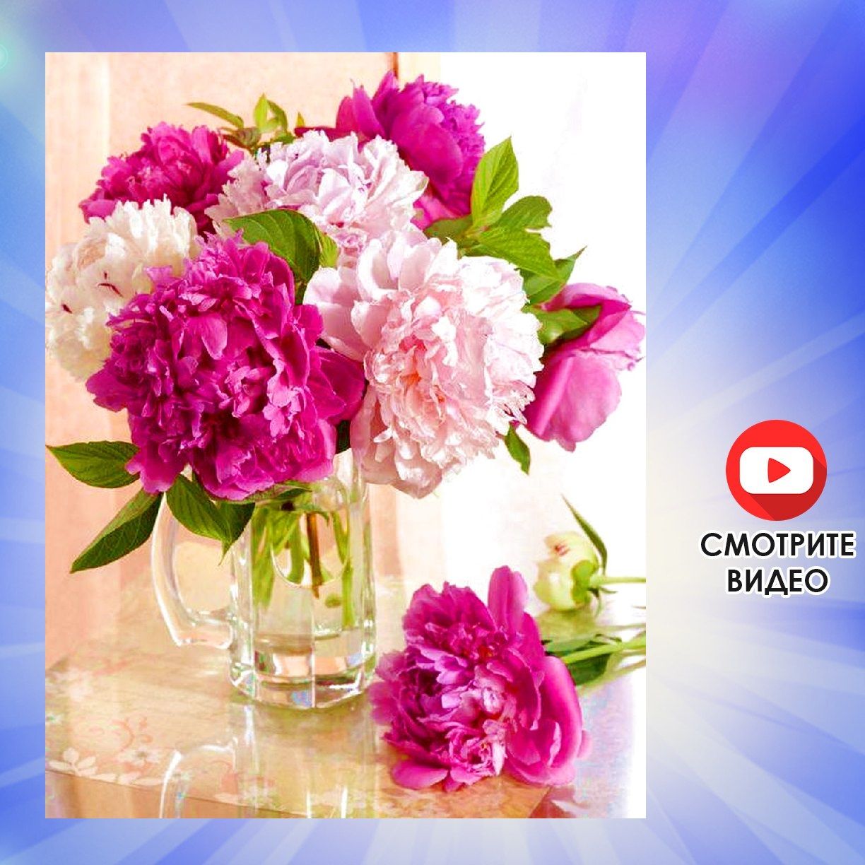 Открытка пионы