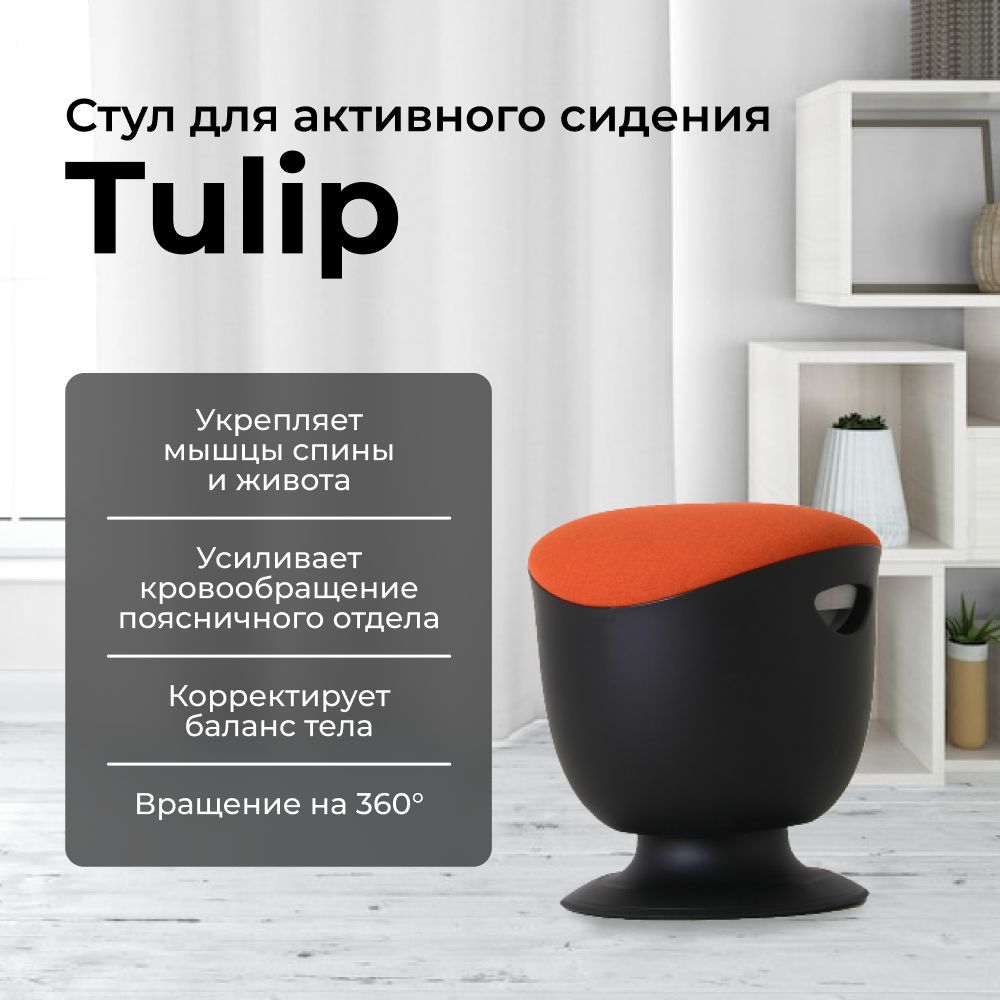 Динамический стул Chair Meister Tulip Black, Пластик - купить по доступным  ценам в интернет-магазине OZON (454388674)