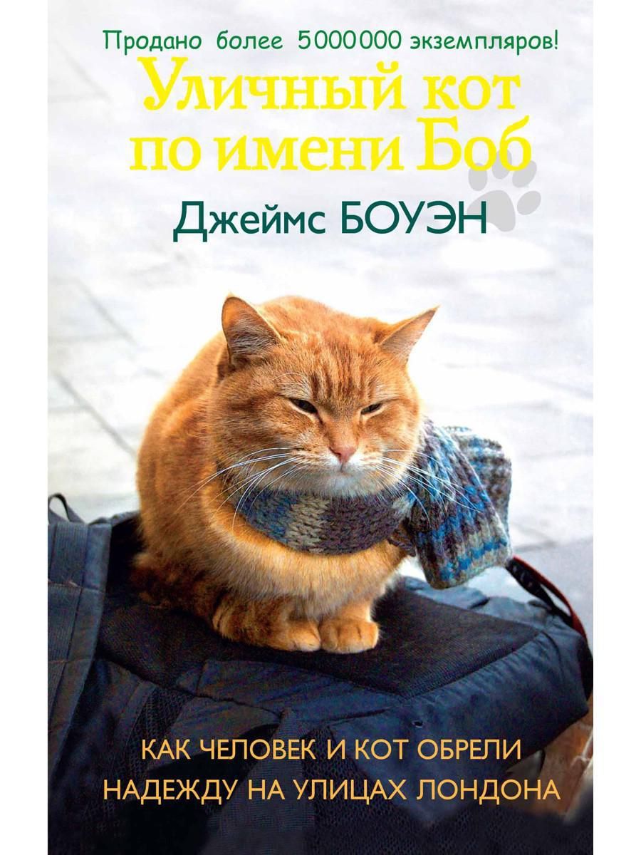 Книга уличный кот. Уличный кот по имени Боб Рипол Классик. Уличный кот по кличке Боб книга. Бездомный кот по имени Боб книга.