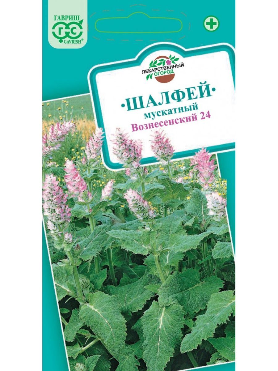 Шалфей Семенами Цена