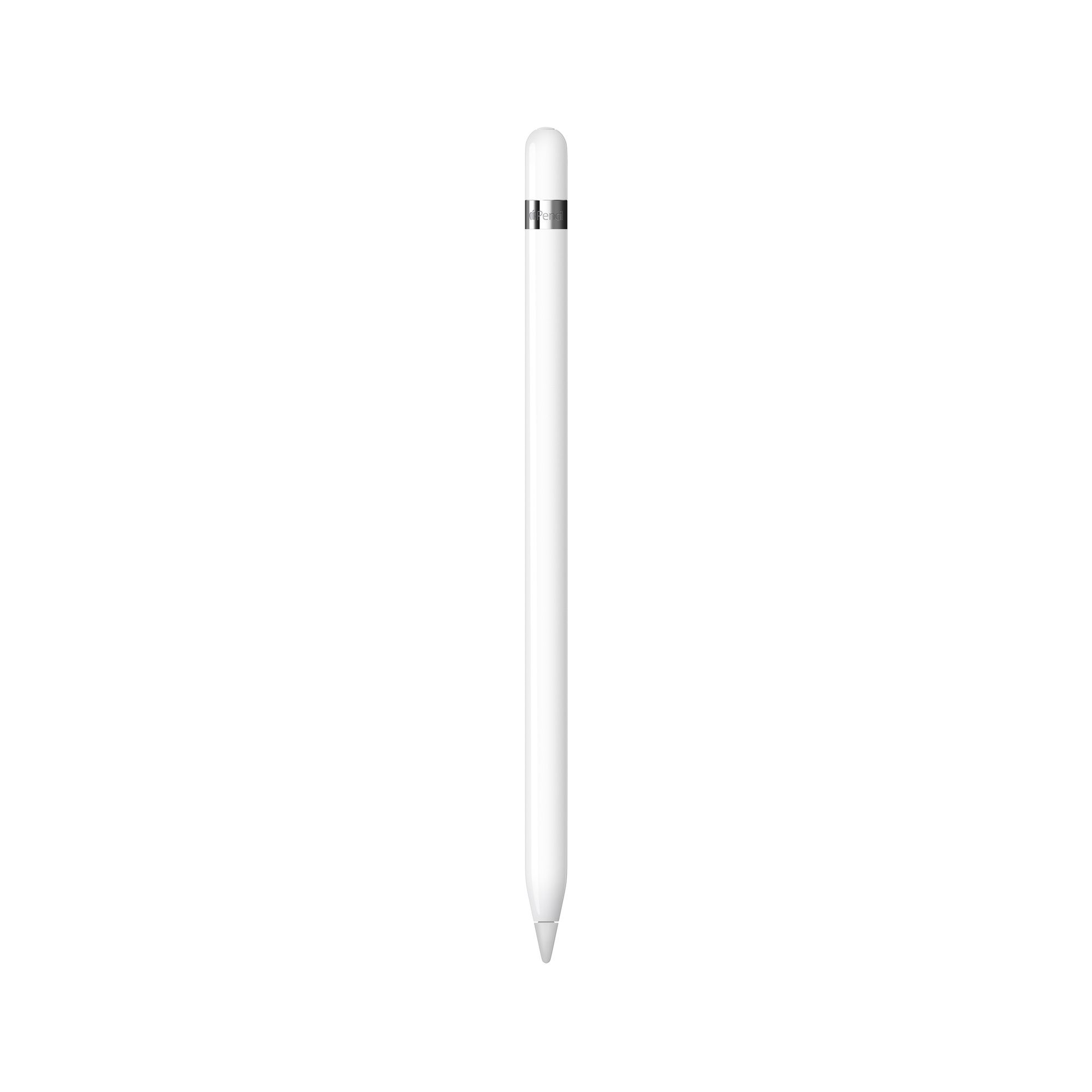 Как выглядит белая ручка Стилус Apple Pencil (1-го поколения) MQLY3, белый - купить с доставкой по выгодн