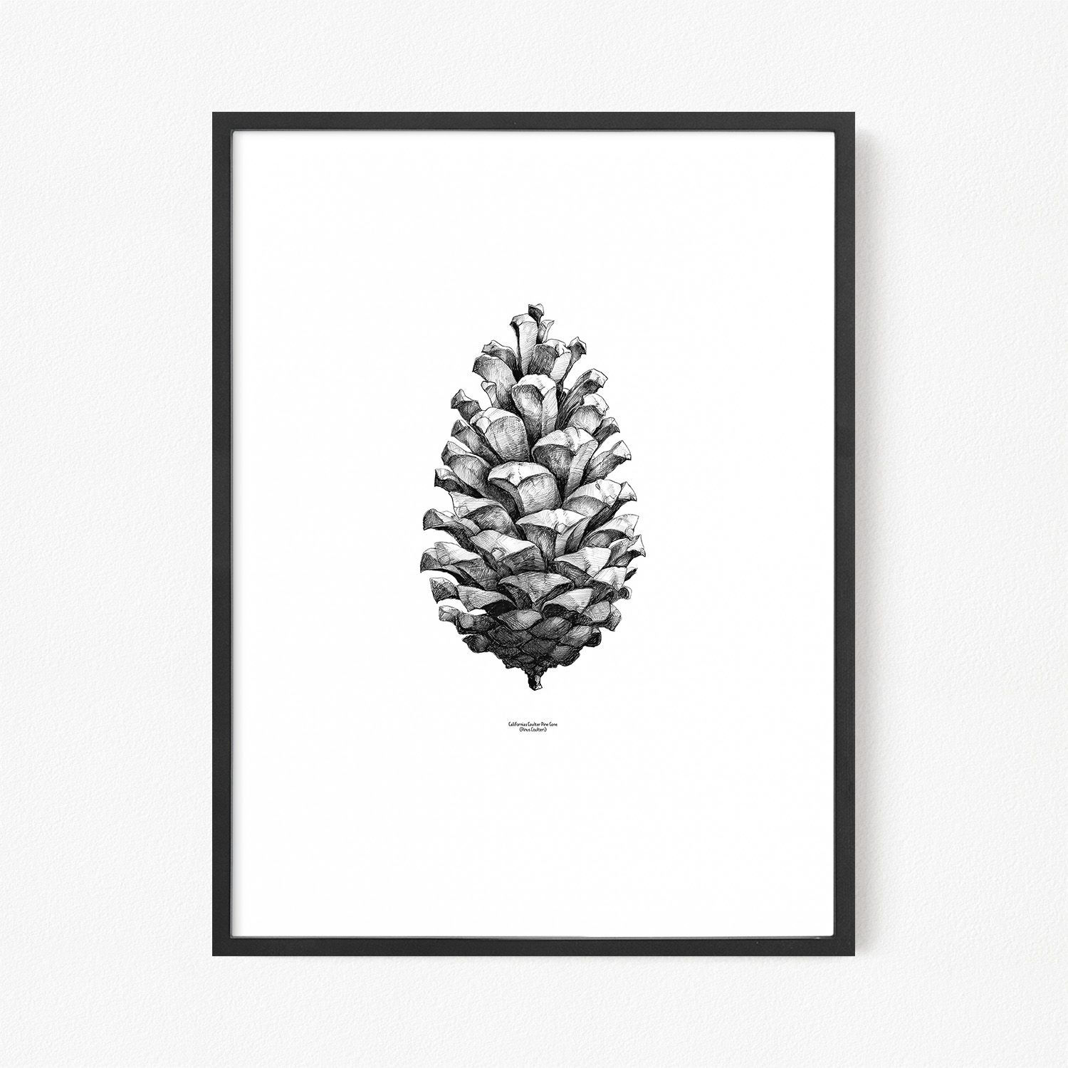 постер сосны. сосны абстракция. постер сосна. постер шишка. постеры с шишками.