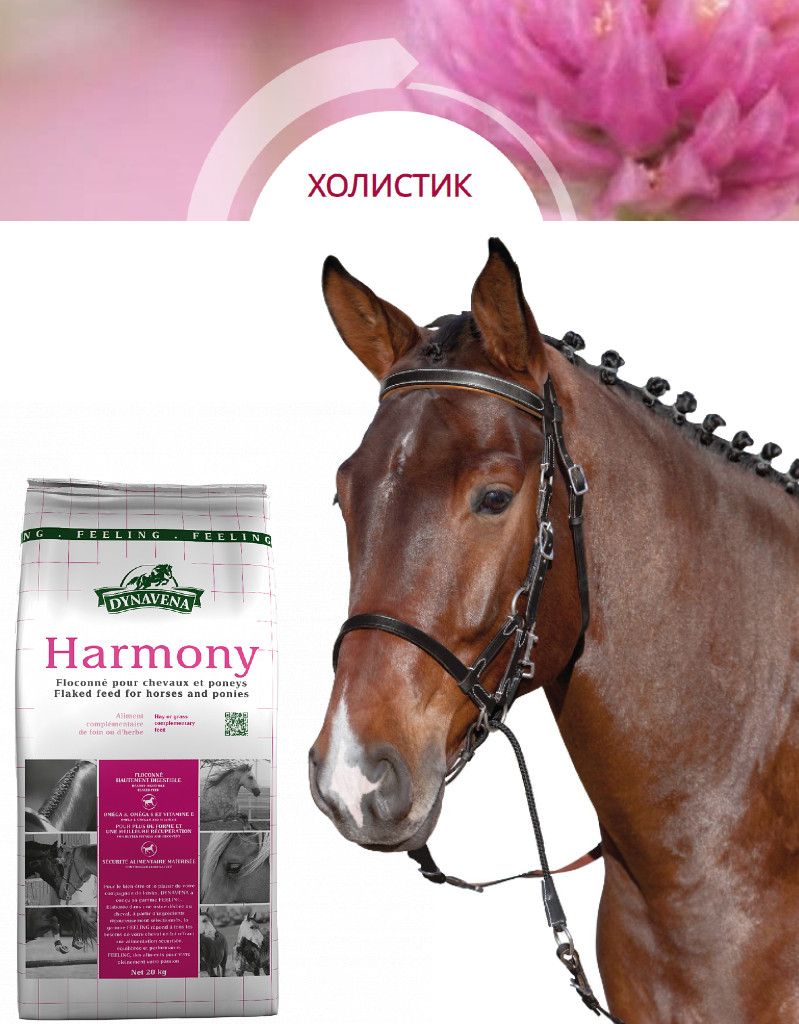 Корм мюсли для лошадей и пони Dynavena(Динавена)Harmony, питательный корм в виде хлопьев, без овса с успокаивающим эффектом, защита пищеварения и мышц,для всех групп лошадей в дополнение к сену (20кг)