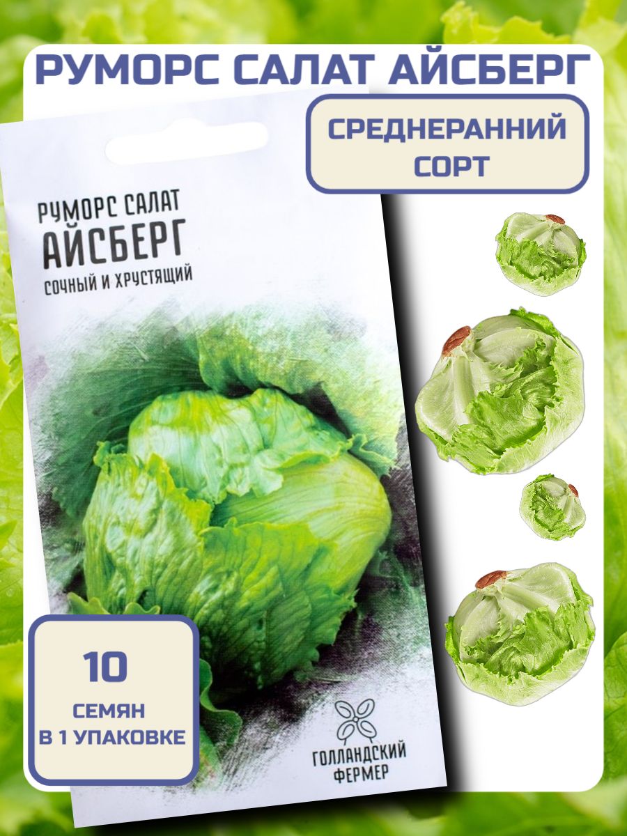 Семена Салата Айсберг Купить В Минске