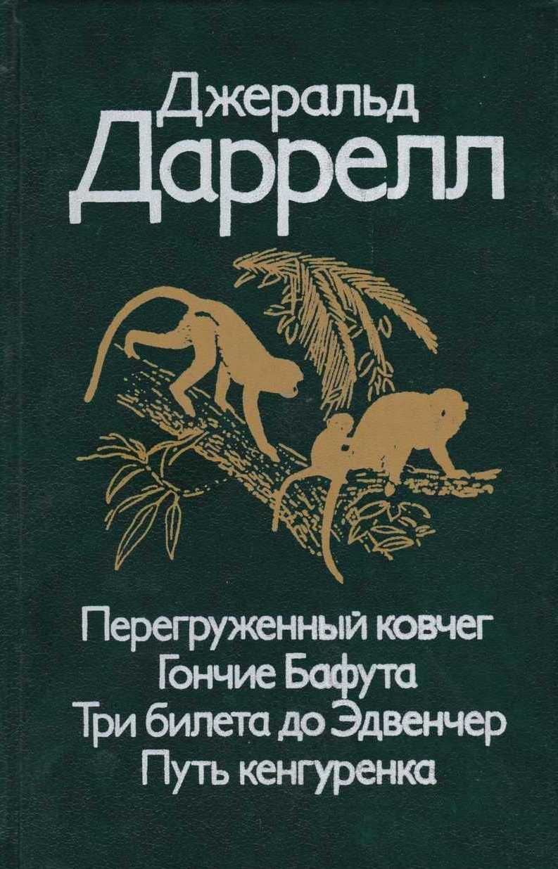 Гончие бафута картинки
